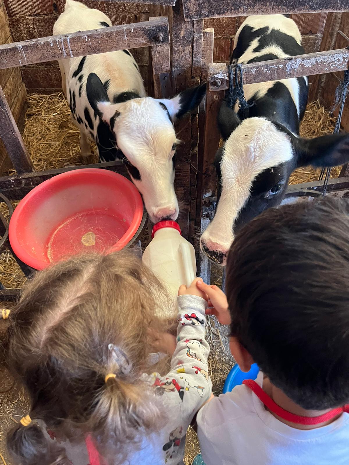 Özel Şura Anaokulu kampüsü